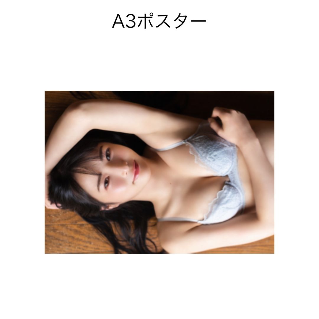 A3ポスター1枚