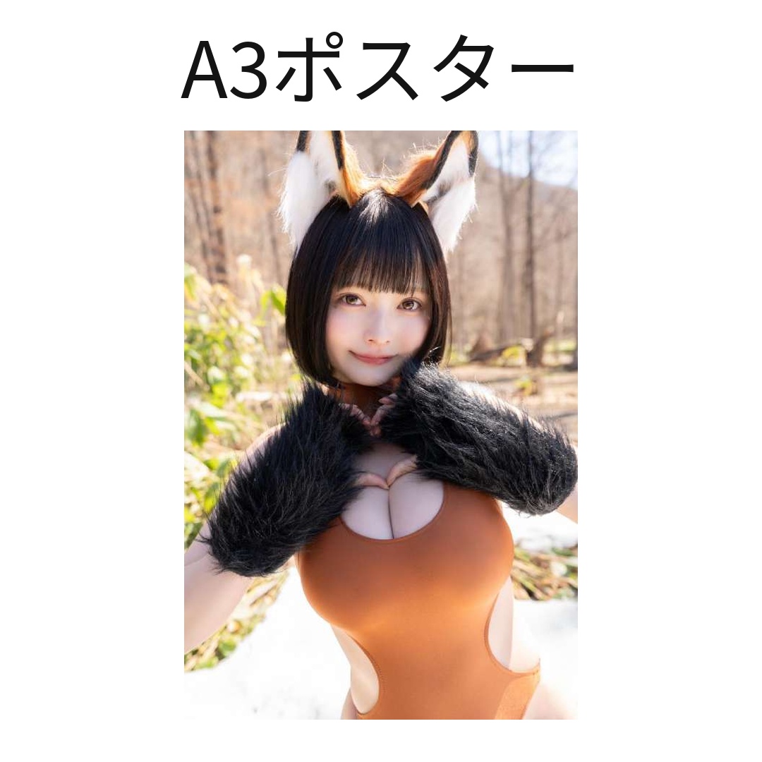 A3ポスター1枚