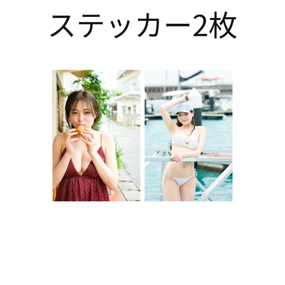 ステッカー2枚