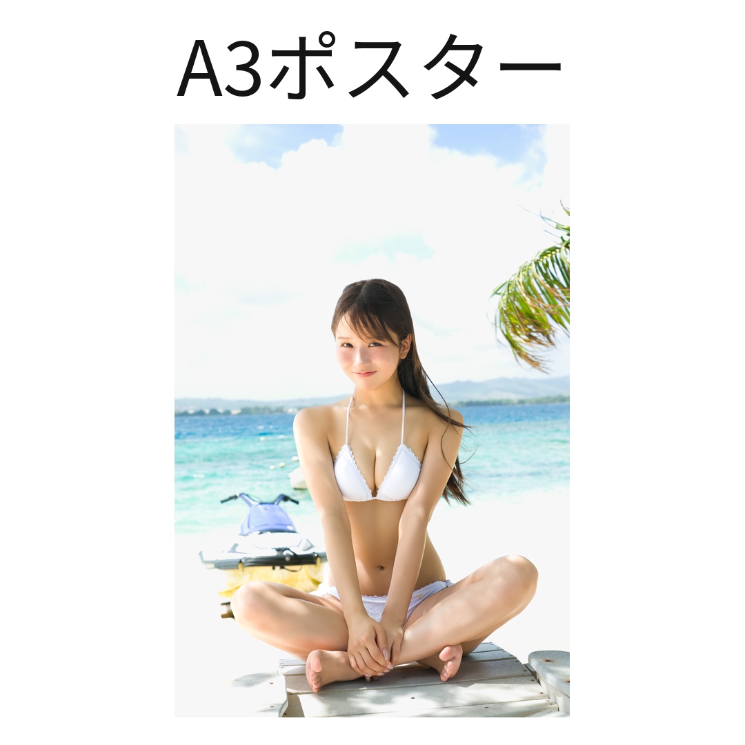 A3ポスター1枚